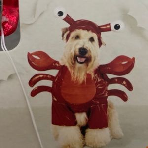 Brand new with tags dog Halloween lobster costume